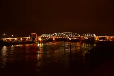 DSC_6713 (Large).JPG